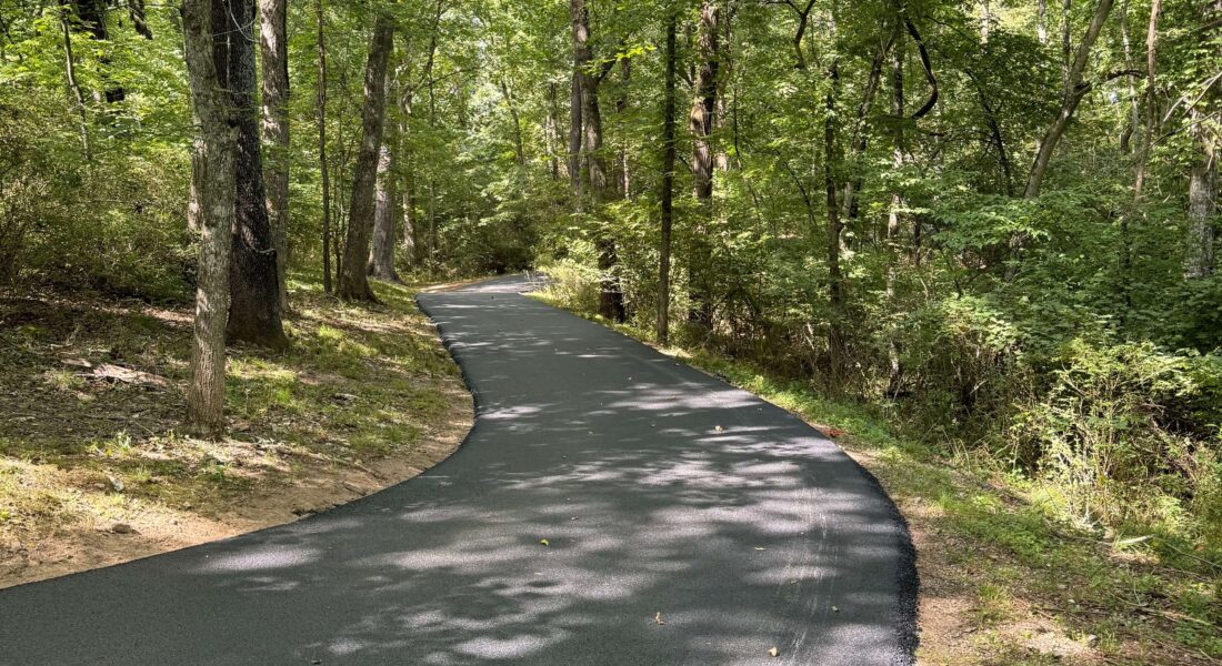 A newly paved road surrounded by green woods.